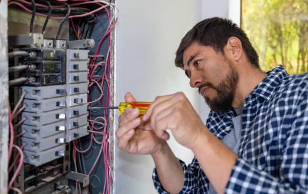Best Electrical Upgrades for Homes  in St Joseph, MN